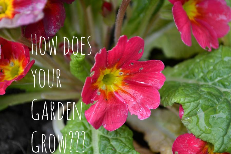 how-does-your-garden-grow-yesterday-s-prophecy-today-s-news