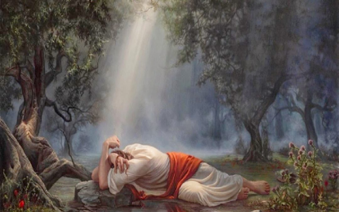 Garden Of Gethsemane Bible Verse